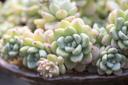 ƺӷⶳٶȼӿ쳤ȴﵽ631.3 ǧ׷