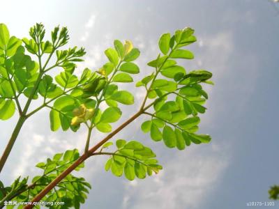 70¹ڷȷﲡ ۼƱ8610